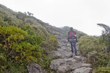 <p>The brush gets smaller and rocks bigger as elevation increases</p>