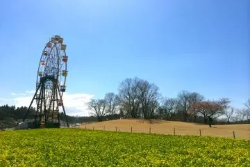 A view of the Country Farm Tokyo during The Color Run 5K