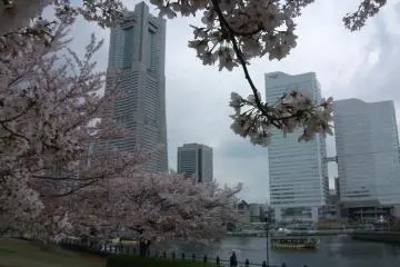 Landmark Tower and Queens Tower as seen from Navios hotel