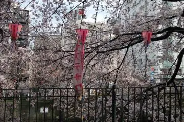 Festival time on the Ookagawa