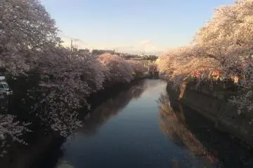 A view from Oota-bashi, one of several bridges along the Ookagawa