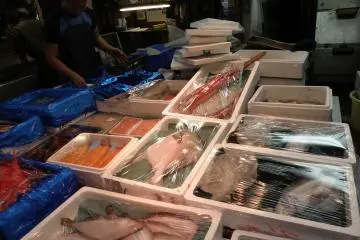 <p>บรรจุใส่กล่องเตรียมขนส่ง</p>