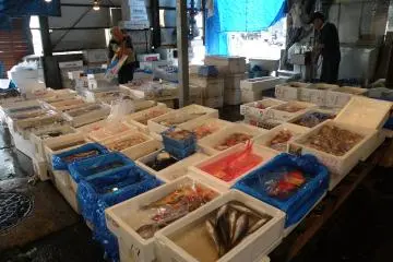 <p>ร้านขายอาหารทะเลสด</p>