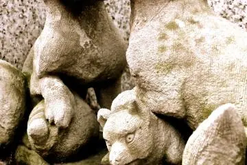 <p>สุนัขจิ้งจอกเพศผู้และเพศเมียปกป้องลูกน้อย</p>