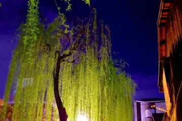 La rue de Gion Shirakawa de nuit