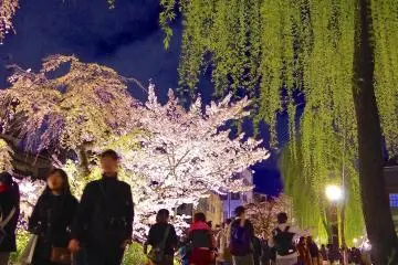 C'est vraiment magique