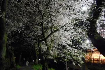 Night-time light-up ends at 21:30. But it still looks beautiful