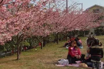 Un picnic bajo los árboles.