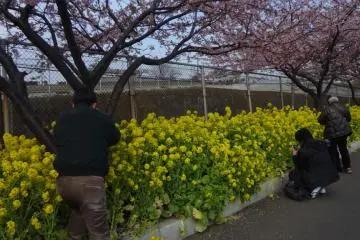 Podrás sentirte como en un lugar mágico y de fantasía por el color. 