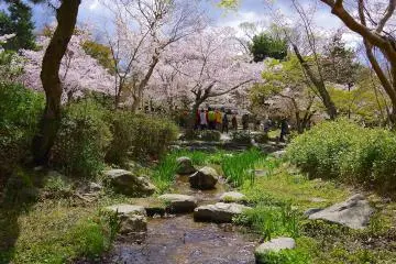 <p>Stream going through the gardens</p>