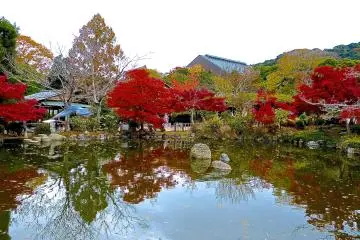 <p>Autumn is the best season for pleasant walks</p>