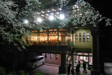 <p>จากหน้าต่างของ Piriken สามารถมองเห็นดอกซากุระที่สวยงามบนฝั่งแม่น้ำ Asuwa&nbsp;</p>