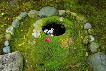 <p>Water basin</p>