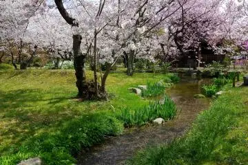 <p>Take a breath and relax!</p>