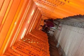 Photo: VVatcharapong Kongvatcharakool