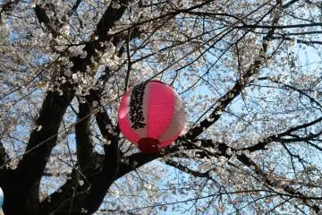 <p>ที่สวนโคบายาชิ</p>
