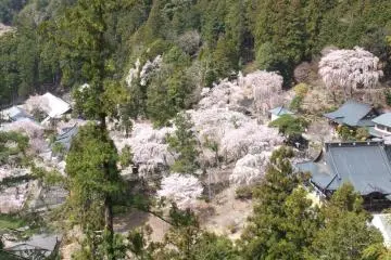 <p>The small town below the temple</p>