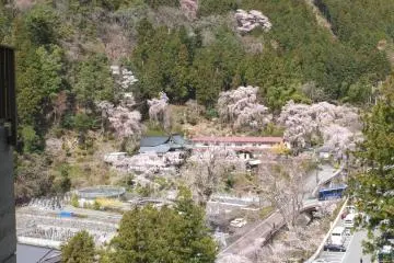 <p>The small town below the temple</p>