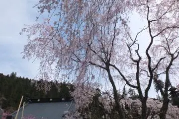 <p>절 아래의 작은 마을</p>