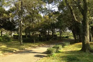 <p>เส้นทางเดินเที่ยว</p>