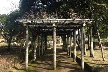 <p>ทางเดินในสวน</p>