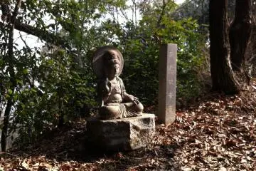 On the forest walk
