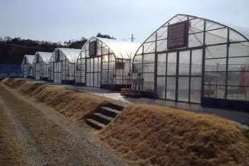 Rows of hot houses at Tado Green farm (Photo: PPF)
