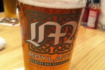 Stone IPA (California, USA)
