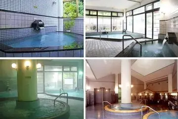 Nibukawa Seserage Exchange Onsen