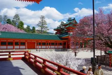 <p>Cherry blossoms and Soryu-ro Tower</p>