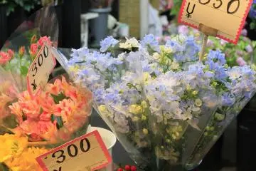 <p>ดอกไม้เมืองหนาวราคาถูกมากถ้าเทียบกับบ้านเรา</p>