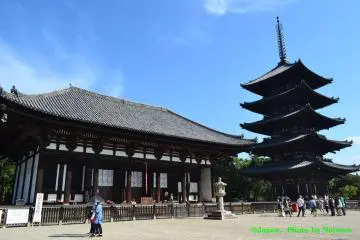 นารา (Nara) #1 Kofukuji,Nara park 