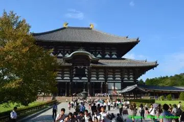 นารา (Nara) #2 Todaiji Temple