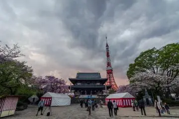 <p>Even on a cloudy day, the grounds of Zojoji are lovely, especially with the sakura in bloom!</p>