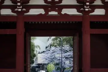 고대 구조물들과 새로운 건물들로, 오래되고 새로운 건물들이 시바코엔에서 만난다