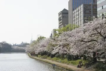 El foso corre por toda la avenida Meiji-dori donde están las estaciones del subterráneo