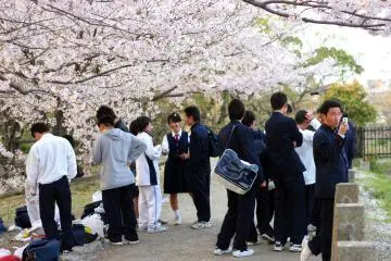 Los estudiantes se toman un descanso para disfrutar la floración 