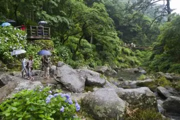 <p>Looking back toward the bridge</p>