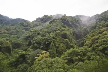 <p>Clouds graze over the low mountaintops</p>
