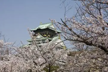Osaka Castle is a favourite spot for cherry blossom photography. (Photo:  Osaka Castle and Cherry Blossoms – <a href="https://www.flickr.com/photos/23054755@N00/5605871530" target="_blank" rel="noreferrer noopener nofollow">Chris Gladis</a> / <a href="https://creativecommons.org/licenses/by-nd/2.0/" target="_blank" rel="noreferrer noopener nofollow">CC BY-ND 2.0</a>)