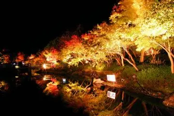 The Naba No Sato gardens ablaze with lights..