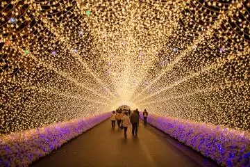 Tunnel of Light