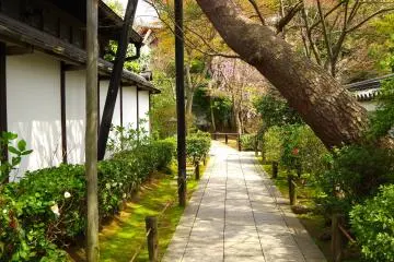 <p>Path to Hojo Garden</p>