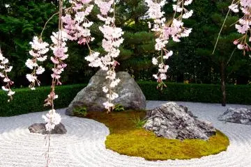 <p>Yang Garden of white sands</p>