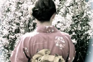 The Beauty of Nijo-jo Castle - 5