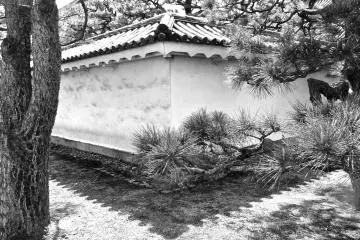 <p>A corner of the Nijo-jo&nbsp;Castle grounds</p>