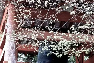 절의 종