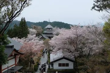 <p>ทางเดินระหว่างหุบเขา เราจะเห็นวิวสวยๆ ขอบอกว่า ของจริงสวยกว่านี้อีกหลายเท่า</p>