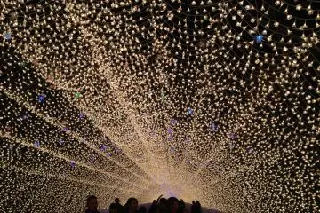 <p>อุโมงค์แสงสีทองแห่งนะบะนะ โนะ ซาโตะ</p>