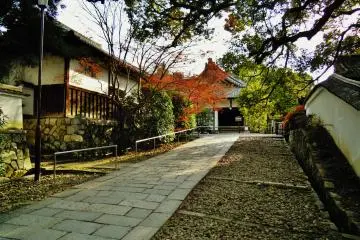 Walking towards the main halls